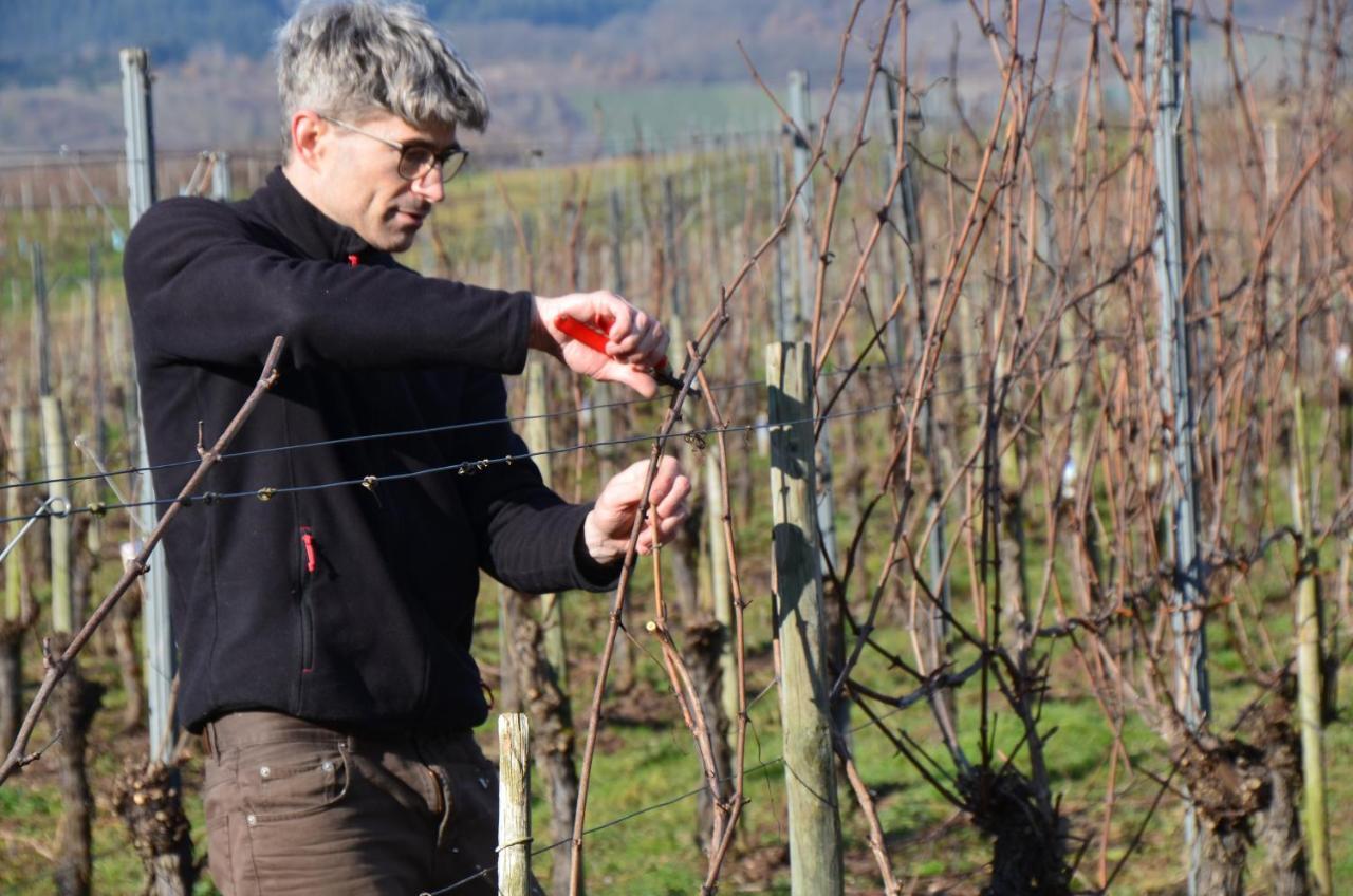 Weingut Erbes-Henn Ürzig Exterior foto